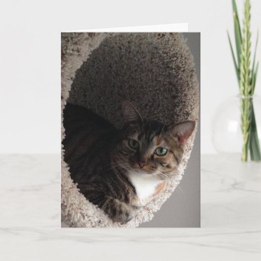 Blanco Wenskaart Kaart (Voorkant)