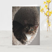 Blanco Wenskaart Kaart (Gele Bloem)