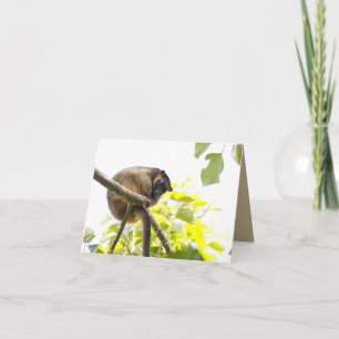 Blanco Wenskaart met boomstructuur Kangaroo Kaart