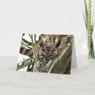 Blanco wenskaart met foto met grote hoornvliezen kaart
