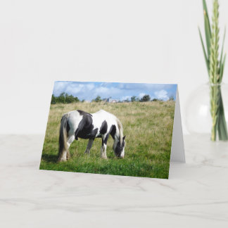 Blanco Wenskaart voor zwarte en witte paarden Kaart