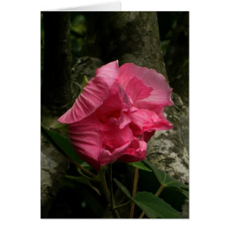 Blanco-Wind Roze ventilator