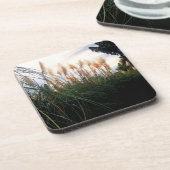 Blancs de laiton Pampas, Dessous de verre (Côté gauche)