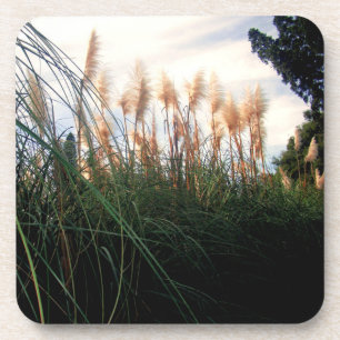 Blancs de laiton Pampas, Dessous de verre