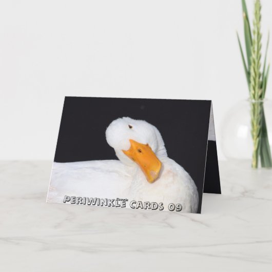 Blancs mignons, Canard, carte blanche (Dos)