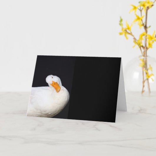 Blancs mignons, Canard, carte blanche (Fleur jaune)