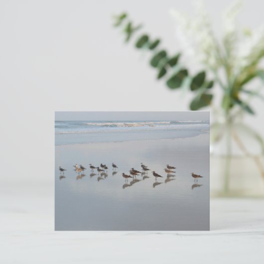 Blank Back Shorebirds op het strand Natuur Bedankkaart (Staand voorkant)