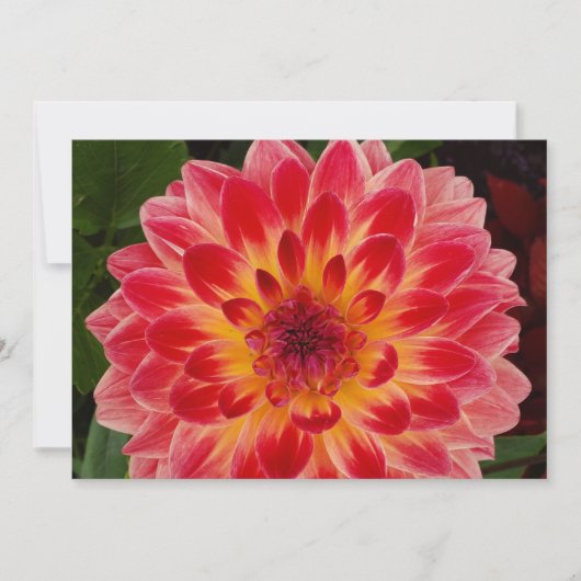 Blank gevouwen uitnodiging (Voorkant)