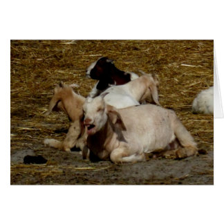 Blank_Goat Party