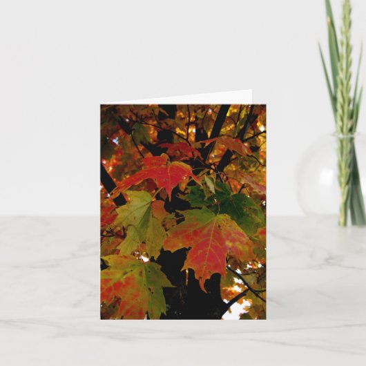 Blank_Herfstbladeren Kaart (Voorkant)