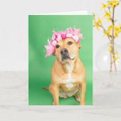 Blank inside Card Kaart (Gele Bloem)