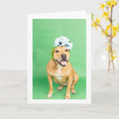 Blank inside Card Kaart (Gele Bloem)