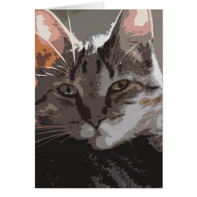 Blank - Jakey (Voorkant)