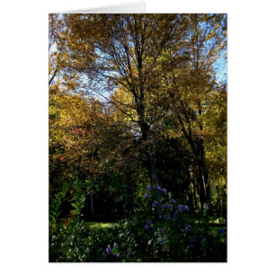 Blank_Mauve-structuur