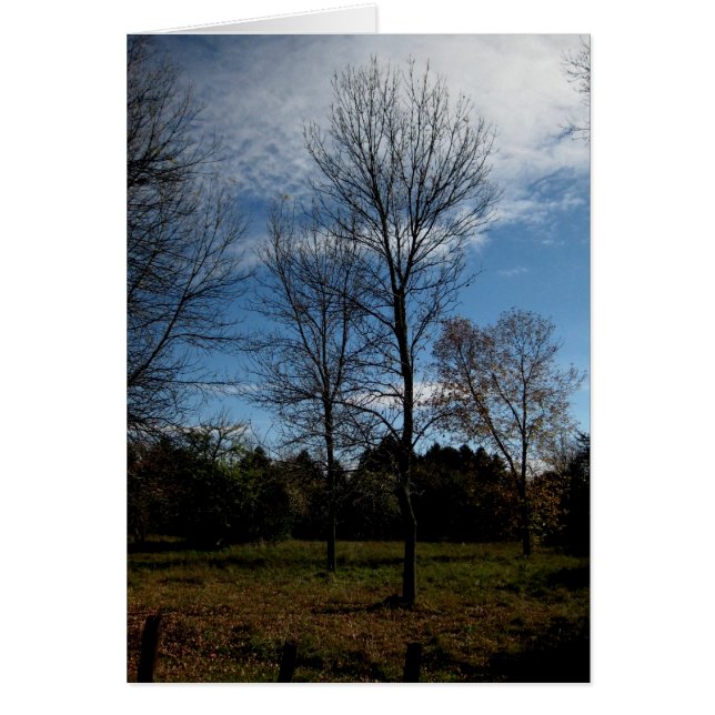 Blank_Ontario Trees (Voorkant)