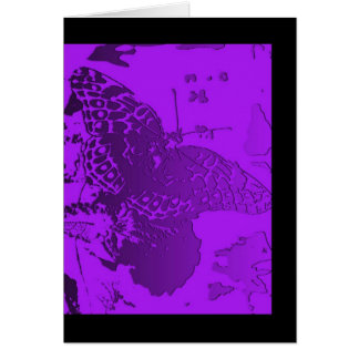 Blank - vlinder in Paars