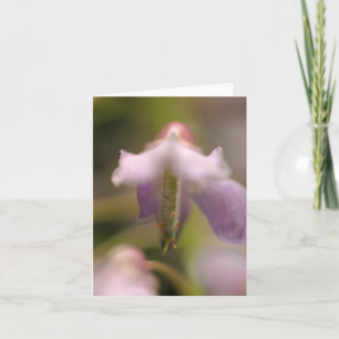 Blank Wenskaart met blote vetdoorbloeding Kaart