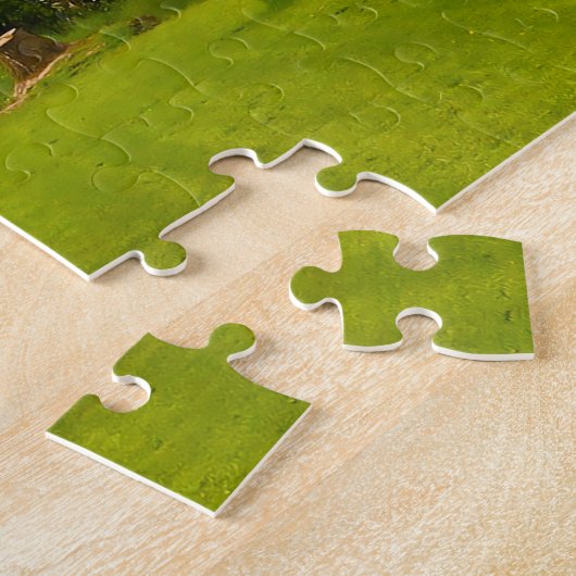 Blarney Castle Blarney Cork Irlande. Jigsaw Puzzle (Côté)