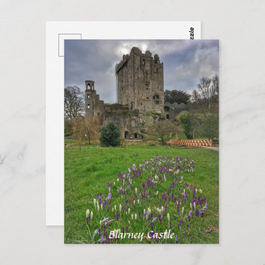 Blarney Castle, Comté de Cork, Irlande Carte posta (Devant / Derrière)