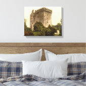 Blarney Castle Cork, Ireland c1900,  print (Insitu (Slaapkamer))