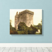 Blarney Castle Cork, Ireland c1900,  print (Insitu (Houten vloer))