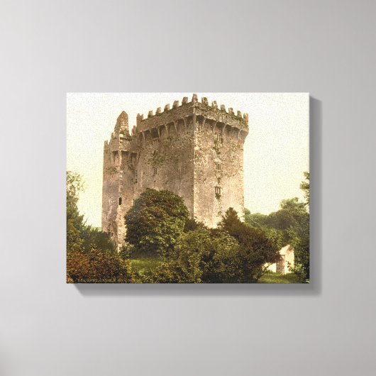 Blarney Castle Cork, Ireland c1900,  print (Voorkant)