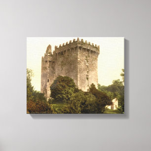 Blarney Castle Cork, Irlande c1900, impression vin