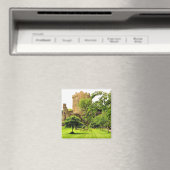 Blarney Castle, Ierland Magneet (Insitu (Vaatwasser))