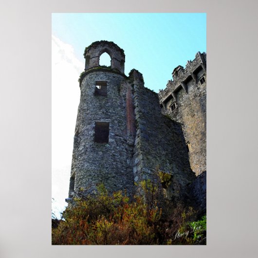 Blarney Castle, Ierland Poster (Voorkant)