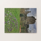 Blarney Castle in Spring, Ireland Puzzle Legpuzzel (Horizontaal)