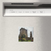 Blarney Castle Magnet Magneet (Insitu (Vaatwasser))
