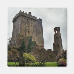 Blarney Castle Magnet Magneet