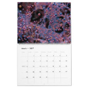 Blasphème numérique Résumé Calendrier mural (Mar 2027)