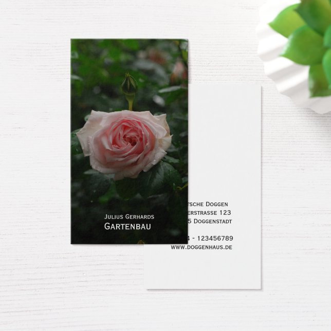 Blau en frei visitekaartje (Bureau)