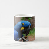 blauaras parrot koffiemok (Center)