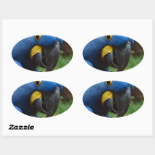 blauaras parrot ovale sticker (Vel)