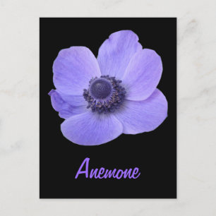 blauw annemonventilator Briefkaart