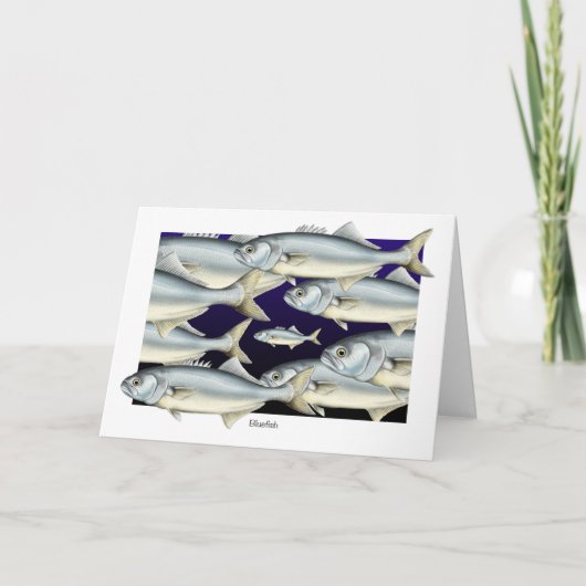 Blauw blauwvisachtig Wenskaart voelen Kaart (Voorkant)