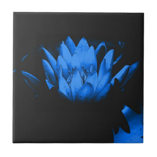 Blauw Bloeiende Lotus Bloemkunst  Tegeltje