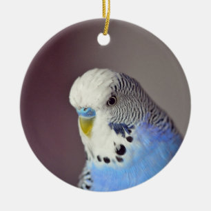 blauw boedgie-fotokeramisch keramisch ornament