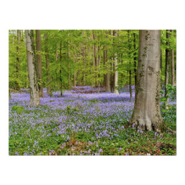 Blauw bos met blauwe bloemen perfect poster