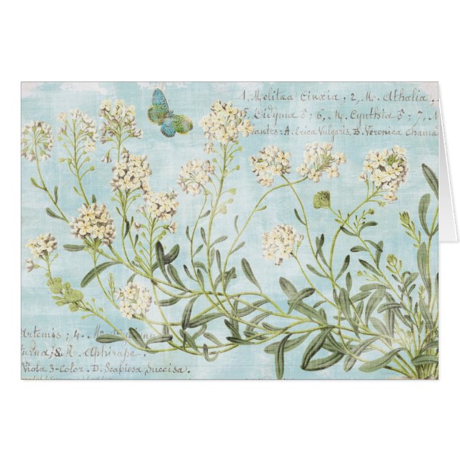 Blauw botanisch (Voorkant Horizontaal)