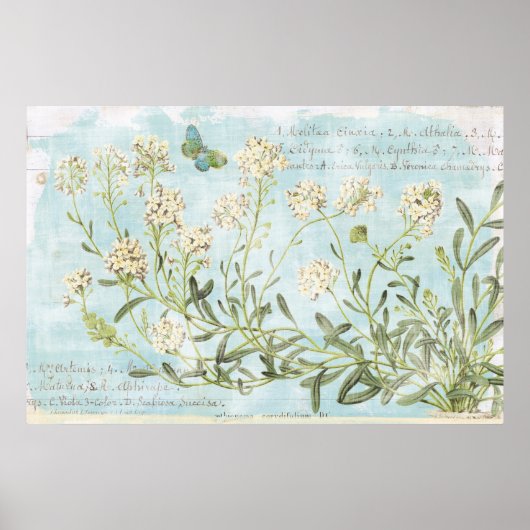 Blauw botanisch poster (Voorkant)