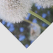 blauw, buttercup, plant, andelion, weide, wit; tissuepapier (Detail)