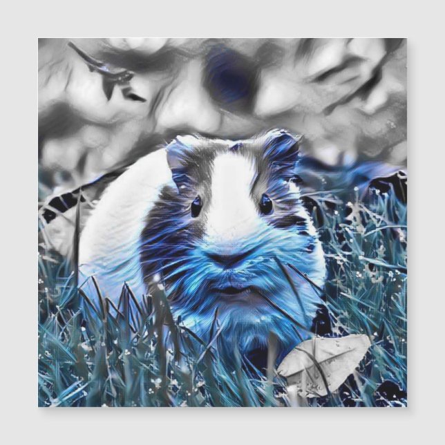 blauw - cavia (Voorkant)