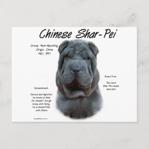 Blauw Chinees Shar Pei Geschiedenis, Sharpei, Shar Briefkaart