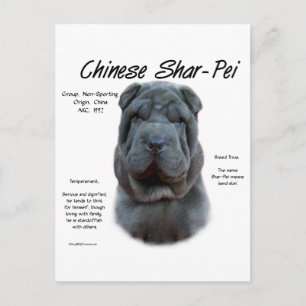Blauw Chinees Shar Pei Geschiedenis, Sharpei, Shar Briefkaart