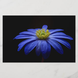 Blauw Daisy Gerbera Flower Scrapbook papier