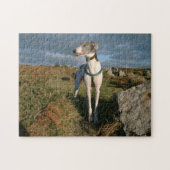 Blauw de windhond legpuzzel (Horizontaal)