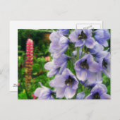 Blauw Delphinium Briefkaart (Voorkant / Achterkant)